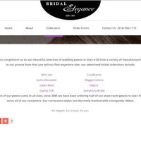 Plus Size Dress Shops in Michigan