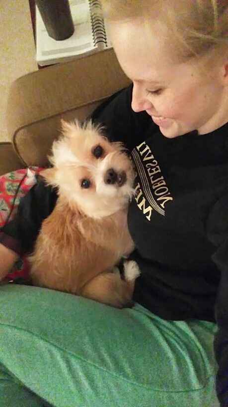 Fur babies