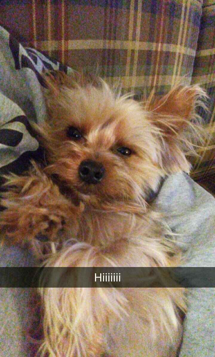 Cutest Thing You'll See All Day