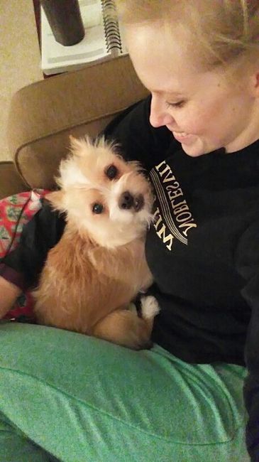Fur babies