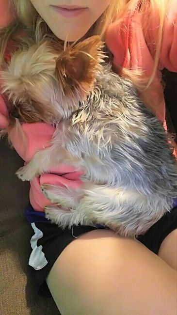 Fur baby