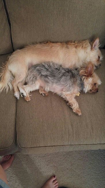 Animal lovers?! Let's take a planning pause.