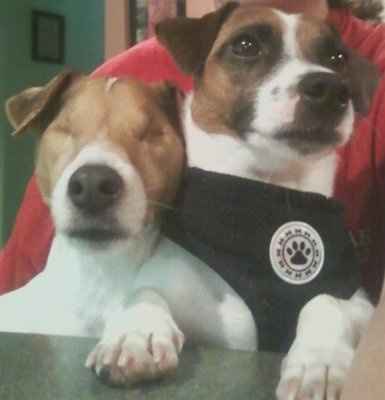 *NWR* Show me your pets/animals! *PICS*