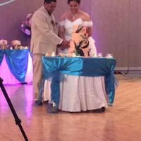 BAM too soon!- (non-pro pics)