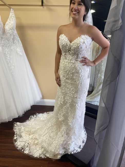 Brides of 2022 - Dress Pics! 1