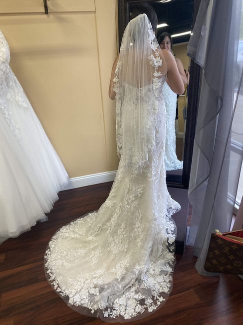 Brides of 2022 - Dress Pics! 3