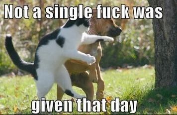 Not a single shit given