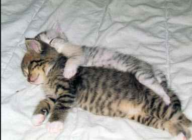 I need you now more than evahhh!