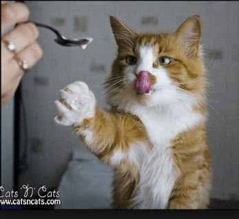 I need you now more than evahhh!