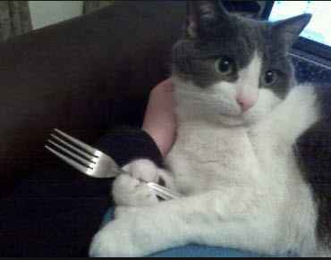 I need you now more than evahhh!