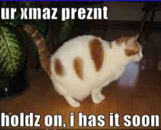 NWR: Holiday Cat Time :)