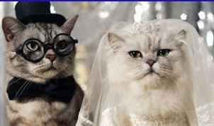 Bathing Suits - where do you shop?