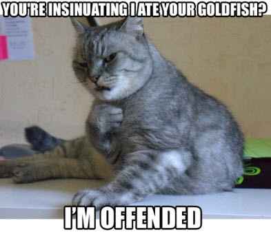 Stupid Meltdown! Words of love needed