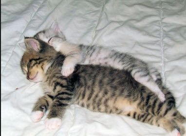 I need you now more than evahhh!