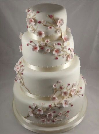 Tell me about your cake (and the cost) :)