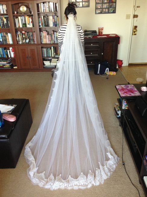 Cathedral Veil brides!  Any edging or details on yours?