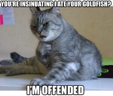 Stupid Meltdown! Words of love needed