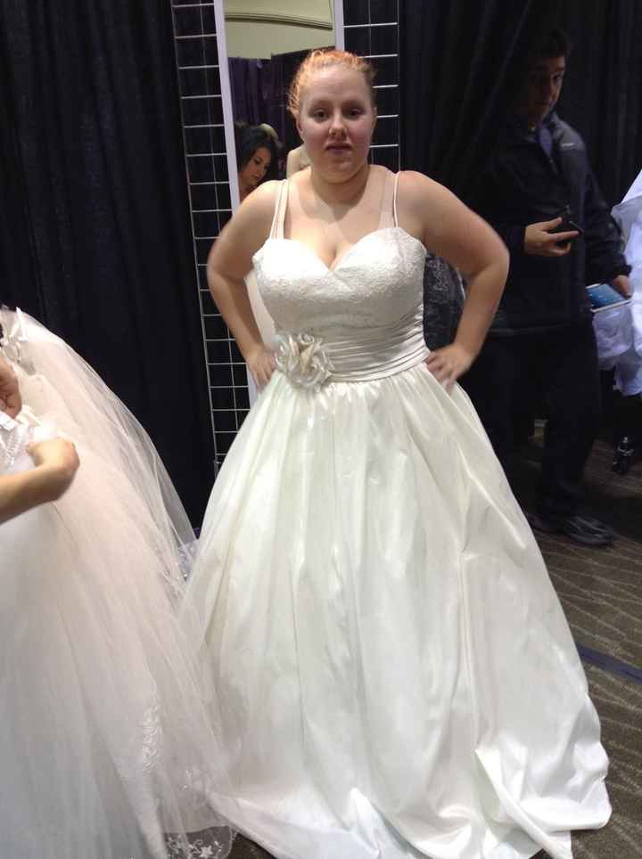 Anyone have there wedding dress picked out? Pics?