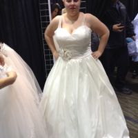 Anyone have there wedding dress picked out? Pics?
