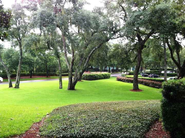 Wedding Planning in a Week? Oh Yes I DID! *long post with lots of pics*