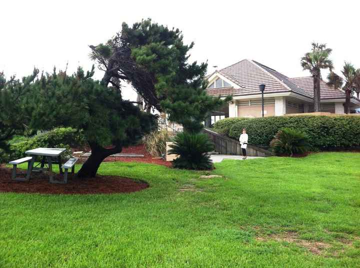 Wedding Planning in a Week? Oh Yes I DID! *long post with lots of pics*