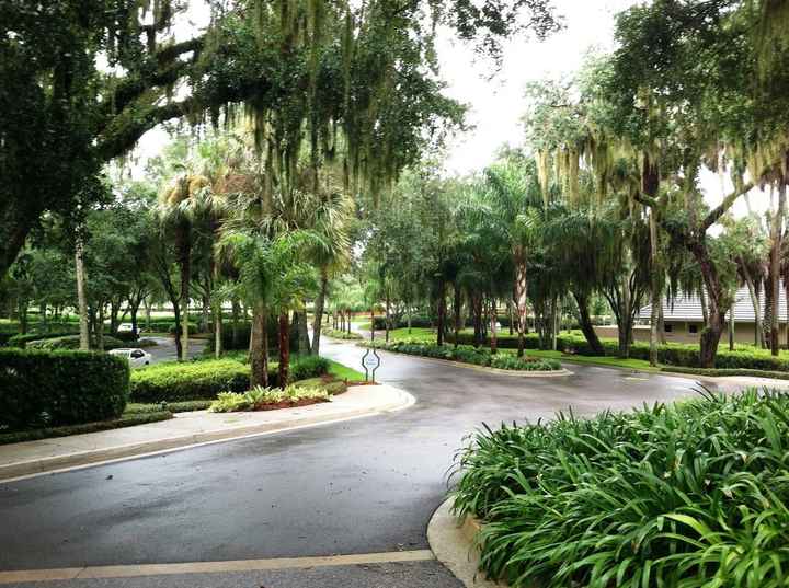 Wedding Planning in a Week? Oh Yes I DID! *long post with lots of pics*