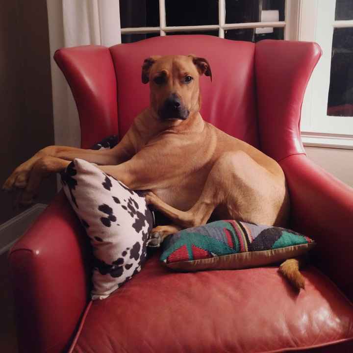 Post a pic of something that makes you happy!