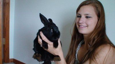 NWR: Lets see our pets!!
