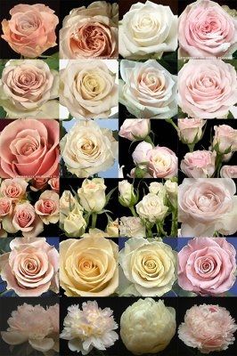 I need a theme for my wedding....