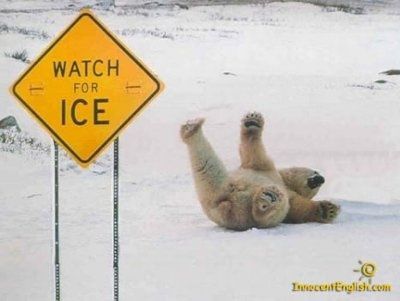 It's funny photo time!