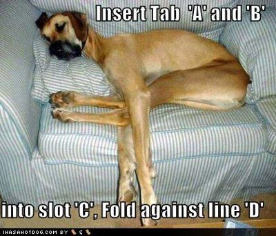 It's funny photo time!