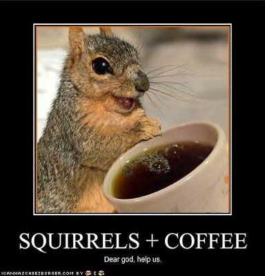 stressed and need a laugh, SHARE THOSE FUNNY PICTURES!!!