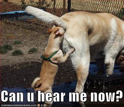stressed and need a laugh, SHARE THOSE FUNNY PICTURES!!!