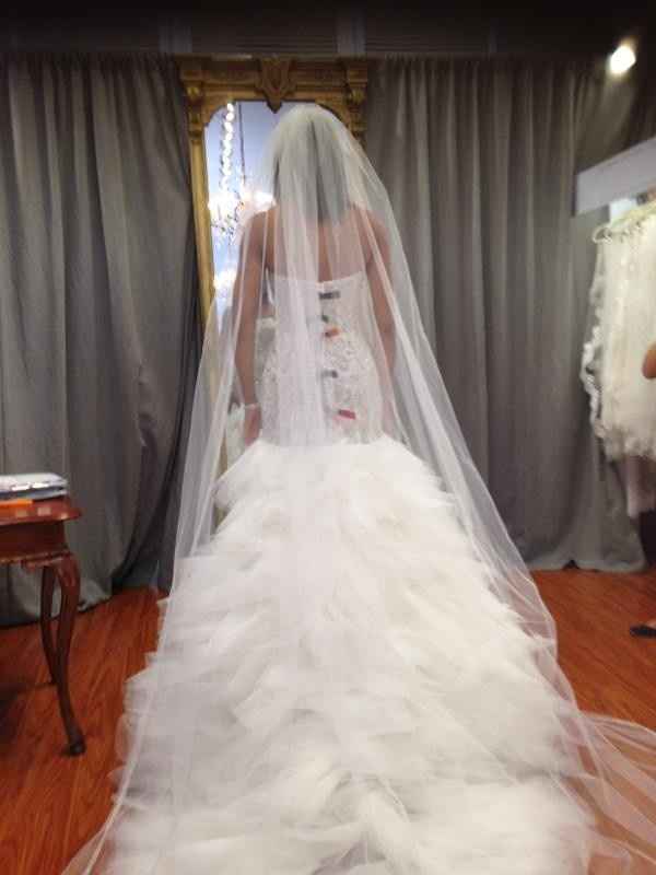 Wedding Veil