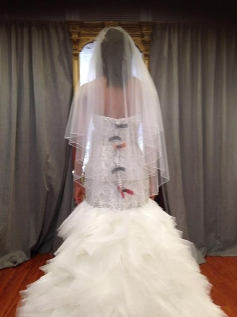 Show me your Veils