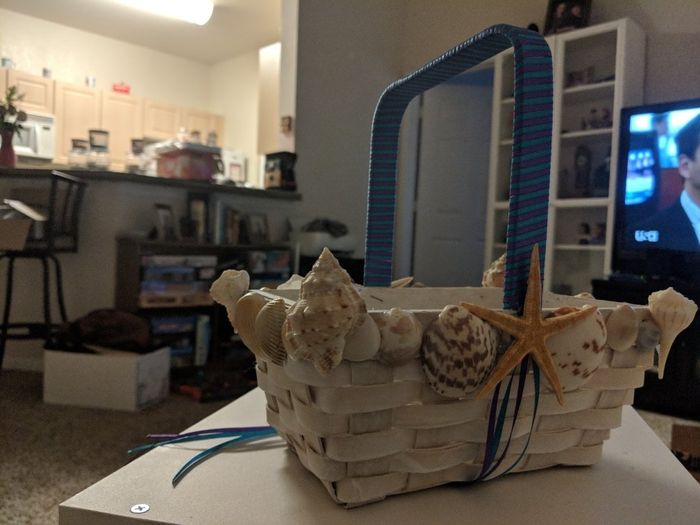 Seashells and things :) - 1