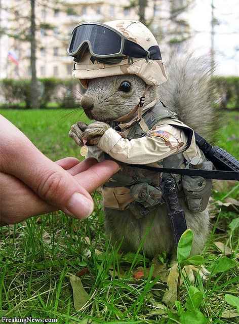 Cutest Thing You'll See All Day