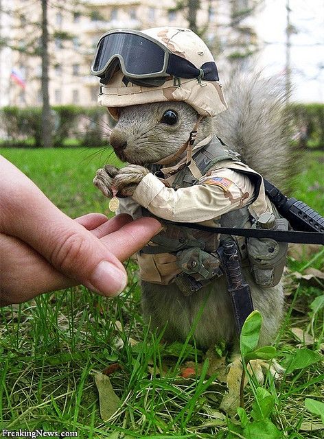 Cutest Thing You'll See All Day