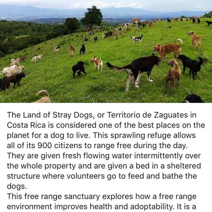 Can I just make this a registry thing?