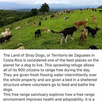 Can I just make this a registry thing?