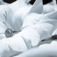 Show me your wedding/engagement rings!