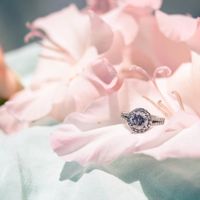 SHOW ME YOUR STUNNER