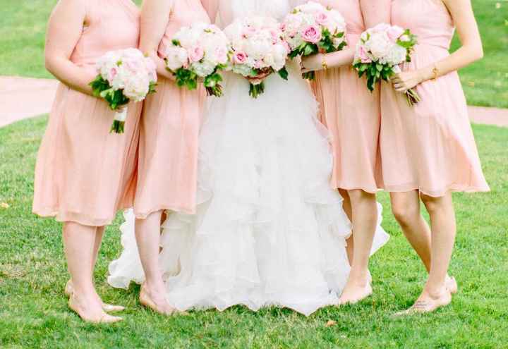 Bridesmaid Dresses... the drama. - 1