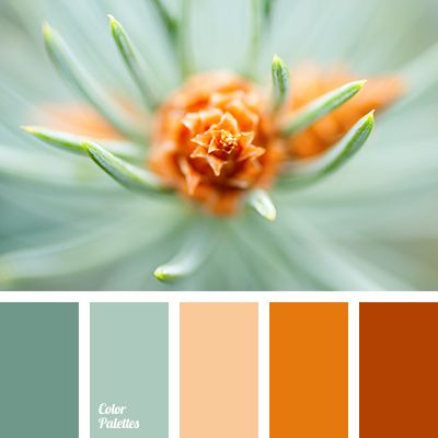 Wedding Color Help 5