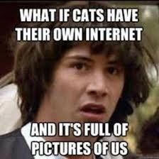 Friday Animal Humor