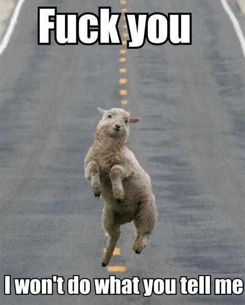 Hey spammers, trolls and just plain douchebags.....