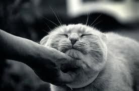 What a week! Who needs a hug?