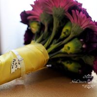 B.A.M!!!!! (pic heavy, pro!)