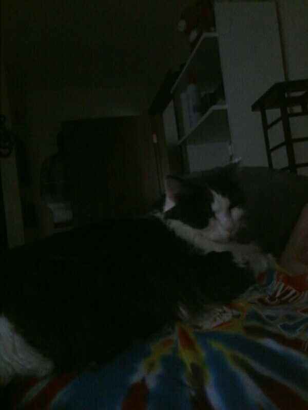 KWR: Who else missed their pets?