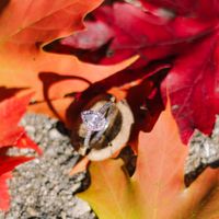 2023 Brides - Show us your ring! - 1